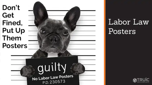 labor-laws-poster-texas-federal-osha-english