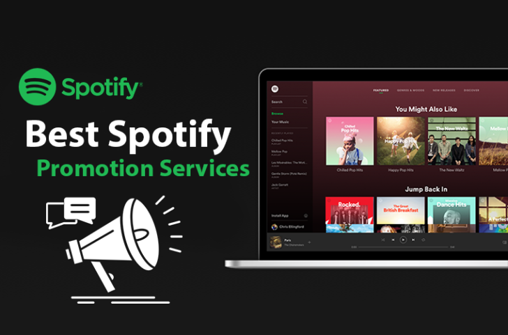 search people on spotify