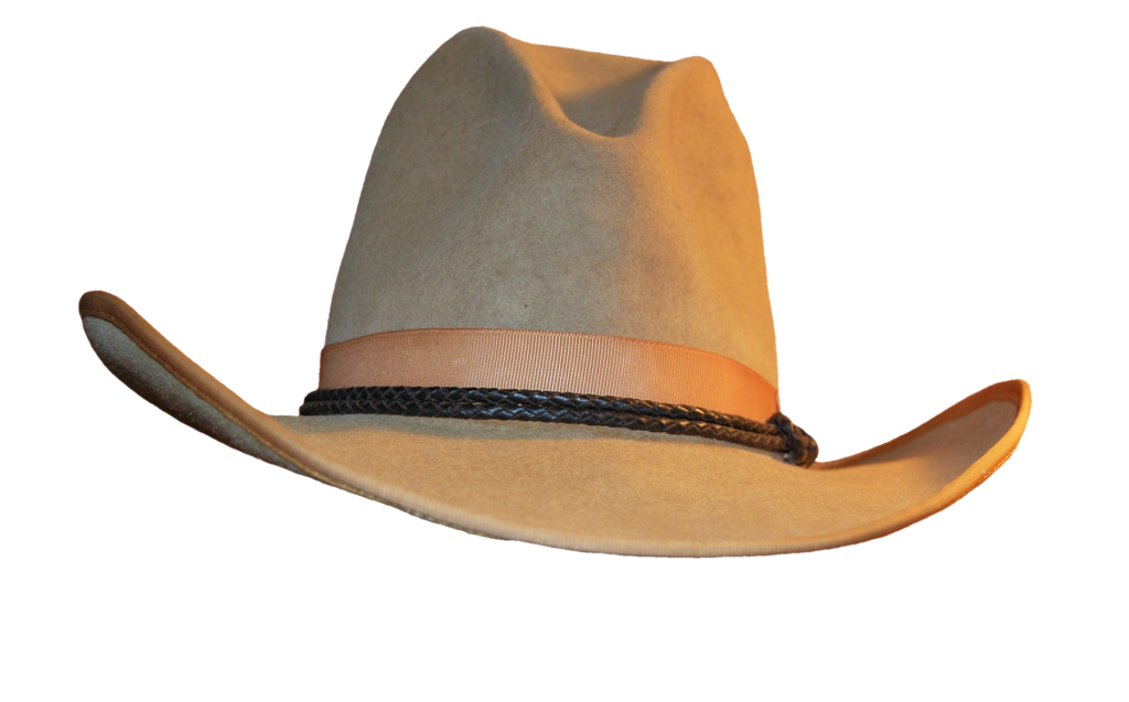 how-can-you-find-the-best-cowboy-hat-band-for-yourself-influencive