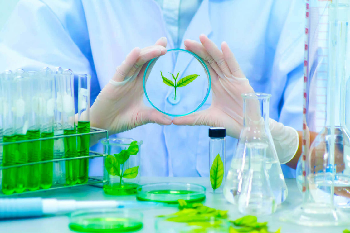 How To Make Your Laboratory Greener For Environment Friendliness